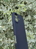 ALittleFlower适用苹果16plus手机壳 iphone16plus保护套全包超薄散热裸机磨砂防摔硅胶软壳男女款【石墨黑】 实拍图