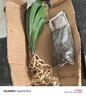大盆君子兰盆栽名贵国宝级花卉苗绿植物圆头和尚室内客厅四季好养 【主推款】君子兰7-9片叶子+带土 送肥料 实拍图