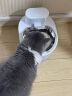 OHHPET小呵宠物猫咪饮水机智能无线喂水器自动循环无线感应狗狗喝水器 无线饮水机+4片过滤棉 晒单实拍图