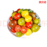 京地达山东圣女果三色组合 新鲜蔬菜 小番茄 净重2.25kg 源头直发 包邮 实拍图