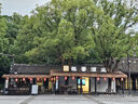  青岛啤酒【京东定制】经典啤酒 618ml*6瓶*2箱礼盒装 年中盛典 实拍图