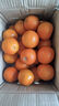 秭归脐橙中华红血橙 当季新鲜水果湖北甜橙手剥橙 4.5斤（果径≥65mm） 实拍图