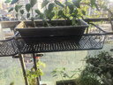 京维美居花架阳台栏杆绿萝多肉花架置物架铁艺悬挂收纳摆放护栏窗台花盆架 圆角设计60*25*12CM 实拍图