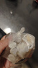 福然通草组合  大通草20g+路路通100g王不留行100g黄芪100g月子汤 实拍图