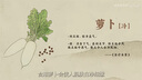GO！SOLUTIONS无谷三鳕全猫粮8磅/3.63kg多肉成猫幼猫通用原装进口 实拍图