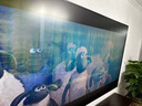 东芝电视100Z500NF 100英寸 4K144Hz 原色调校Mini LED 火箭炮音响 柔光防眩 以旧换新 家电国家补贴 实拍图