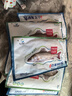 仙泉湖三去白蕉海鲈鱼 400g/条净膛冷冻刺少肉厚特产海鲜水产食材 实拍图