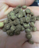 耐吉斯鲜肉Pro夹心冻干狗粮1.5kg*4包成犬幼犬益生菌鸭肉梨泪痕管理 实拍图