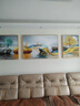 Sixpoetry 客厅装饰画现代简约沙发背景墙壁画轻奢三联晶瓷画大气高档挂画 福禄双收（铝合金外框） 镶钻画左右60*80+中间120*80亮面 实拍图