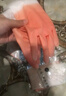 新款钓鱼手套耐用加厚防水手套耐磨厨房清洁户外橡胶手套乳胶 双色颜色随机-L码 【1双】 实拍图