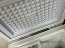 志高（CHIGO）小冰柜家用冷冻小型一级节能省电迷你卧式冷藏保鲜储母乳冷柜 【一级能效 全国联保】 228L 单温单门 实拍图