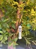 FLEXTAILGEAR鱼尾二代驱蚊灯户外露营灯防蚊香神器钓鱼电热驱蚊器灭蚊器营地灯 TRS二代驱蚊灯绿色【赠灯罩+50片驱蚊片】 实拍图