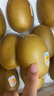 佳沛（zespri）新西兰  阳光金奇异果巨大果22粒原箱 单果重约144-175g 猕猴桃 实拍图