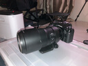 奥之心（OM SYSTEM）M.ZUIKO DIGITAL ED 100-400mm F5.0-6.3 IS II 远摄变焦镜头 奥林巴斯微单镜头 实拍图