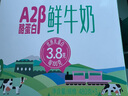 天润（TERUN）新疆鲜奶 A2β-酪蛋白 3.8g优质蛋白鲜牛奶低温奶 480g*3瓶 实拍图