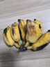 广西小米蕉当季新鲜应季水果日日鲜香甜小香蕉芭蕉孕妇水果整箱 半斤250g 酸甜口的小香蕉 实拍图