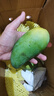 集南鲜 广西金煌芒果 现摘大青皮黄皮热带甜心芒果新鲜时令生鲜时令水果 净重8.5-9斤特级果 250g起 实拍图