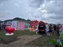 佳沛（zespri）新西兰阳光金奇异果原箱 16粒巨无霸 单果重约202-230g   猕猴桃 实拍图