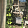 憨憨宠 猫笼 大号方管猫笼子家用带厕所猫屋猫舍猫别墅繁殖笼幼猫成猫笼 黑色 四层置物架140款猫笼 实拍图
