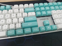 CHERRY樱桃KC200机械键盘 办公游戏两用键盘 电脑键盘机械 蓝白拼色客制化键盘  PBT键帽 有线键盘 红轴 实拍图