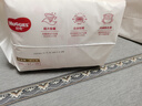好奇（Huggies）铂金装成长裤XXL74片(15kg以上)小桃裤加加大号婴儿尿不湿超薄 实拍图