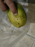 蕊鲜生攀枝花凯特芒果 9斤四川特大青芒果新鲜热带水果当季现摘 9斤A级巨无霸【1斤起】土豪分享装 实拍图