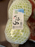 小汤山 圆白菜 约500g 新鲜蔬菜基地种植当天采摘 实拍图