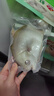 1号会员店（One's Member）甄选海南二去金鲳鱼去鳃去内脏生鲜鱼类 海鲜水产 700g/2条装 实拍图