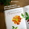【信谊】小种子（3-8岁） 生命的价值与延续 名师梅子涵推荐艾瑞卡尔童书绘本  实拍图