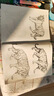 2册《花卉动物速写描摹本》零基础画画入门新手自学教程书籍线描花卉临摹手绘初学者学绘画教材铅笔画素描速写 实拍图