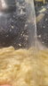 大希地马苏里拉芝士碎100g*10袋 家庭装奶酪碎 独立小包装披萨烘焙原料 实拍图