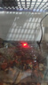 SUNSUN鱼缸石英加热棒200W款适用30-60L自动恒温水族箱加热器离水断电 实拍图