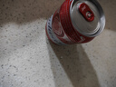 百威啤酒mini红罐淡色拉格255ml*24听小罐整箱装浓郁麦香 实拍图