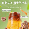 华味亨陈皮话梅160g/罐 蜜饯果干 陈皮话梅肉梅子干水果干果脯零食 实拍图
