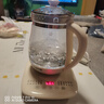九阳（Joyoung）0胶水养生壶 1.5L煮茶器 玻璃花茶壶 316不锈钢烧水壶电热水壶 WY301 实拍图