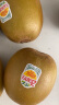 佳沛（zespri）新西兰 金果12粒猕猴桃礼盒特大果单果约122-146g 端午节水果礼盒 实拍图