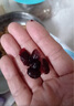 优鲜沛（OceanSpray）智利进口 蔓越莓干蜜饯果干烘焙原料休闲零食 原味907g 实拍图
