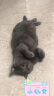 麦富迪猫粮 超肉粒冻干双拼粮10kg 成猫（冻干三文鱼） 实拍图