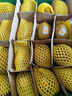 佳沛（zespri）新西兰  阳光金奇异果16粒礼盒经典果单果约 77-103g 水果 猕猴桃 实拍图
