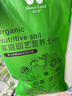 漫生活 进口通用营养土20L种菜土花卉土绿植园艺有机种植土花卉果蔬绿萝 实拍图