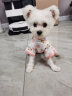 华元宠具（hoopet）狗狗衣服小型犬秋冬保暖宠物衣服冬天比熊幼犬泰迪小狗全包四脚衣 【棉质薄款】四脚护肚衣-胭脂粉 XS:背长22.5cm-推荐体重2-5斤 实拍图