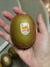 佳沛（zespri）新西兰 阳光金奇异果12粒礼盒特大果单果约122-146g 猕猴桃 水果 实拍图