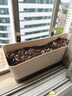 奥美优长方形花盆栽种菜神器家庭阳台加厚长条形带托盘多肉花盆不含绿植 实拍图