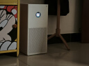 小米（MI）米家空气净化器4lite家用除甲醛除异味PM2.5轻音设计LED显示屏智能控制小巧不占地母亲节礼物 米家空气净化器 4 lite 实拍图