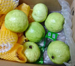 京鲜生软糯双拼红白芭乐 净重5斤单果150g+ 新鲜番石榴 源头直发包邮 实拍图