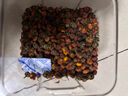 南同九坊 南京同仁堂 昆仑雪菊胎菊 菊花茶正宗新疆特产地搭级天山血菊90g 实拍图