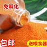 迪普尔丰年虾脱壳丰年虾卵鱼饲料丰年虾块幼鱼开口鱼食小型鱼 脱壳丰年虾卵（100g约180ml） * 实拍图