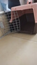 【京东物流】宠物航空箱大号猫狗外出托运箱车载猫窝便携狗笼猫包 1号45cm*30cm*33cm【不带挂碗+垫片】 实拍图