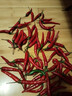 京源采云南小米辣椒新鲜泡椒农家小米椒9斤朝天辣椒指天椒鲜红辣椒批发 净重1斤装 500g 实拍图