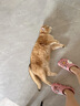 lorde里兜猫砂小银钻钠基除臭矿砂膨润土自动猫砂盆可用4.5kg×2袋 实拍图